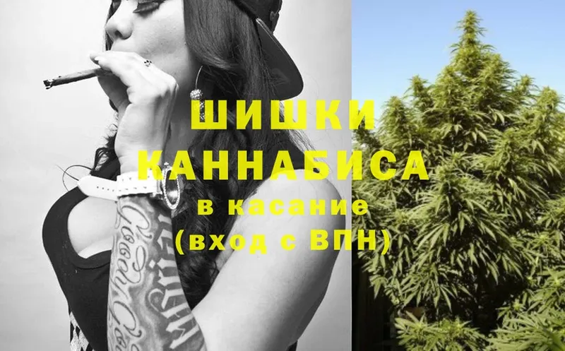 Бошки марихуана Ganja  где найти   Артёмовск 